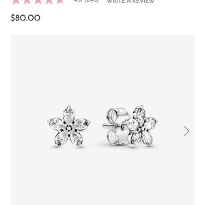 Sparkling Snowflake Stud Earrings